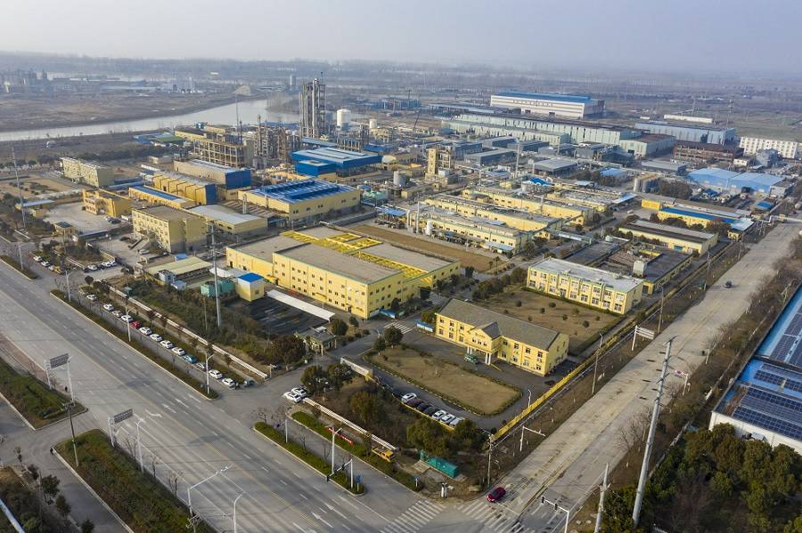 OD网站官网入口-OD(中国)药业首次公开发行股票并上市辅导备案信息公示